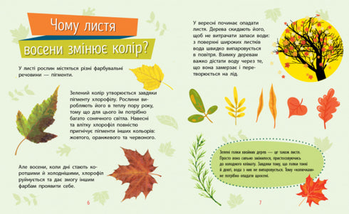 Why are there plants?